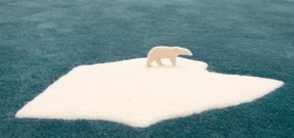 oso polar calentamiento global