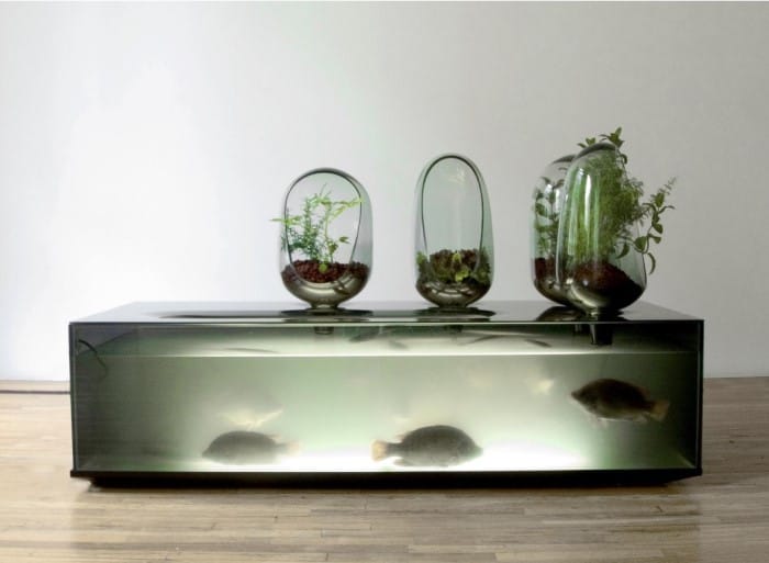 diseñador verde local river