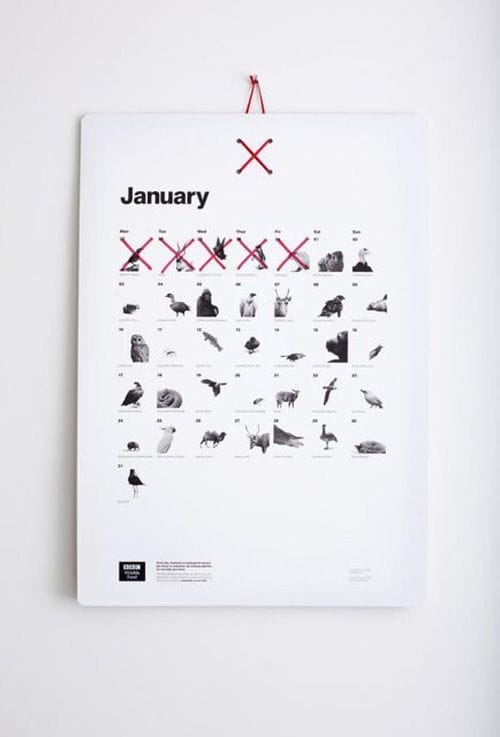 calendario 2013 bbc almost extinct calendar