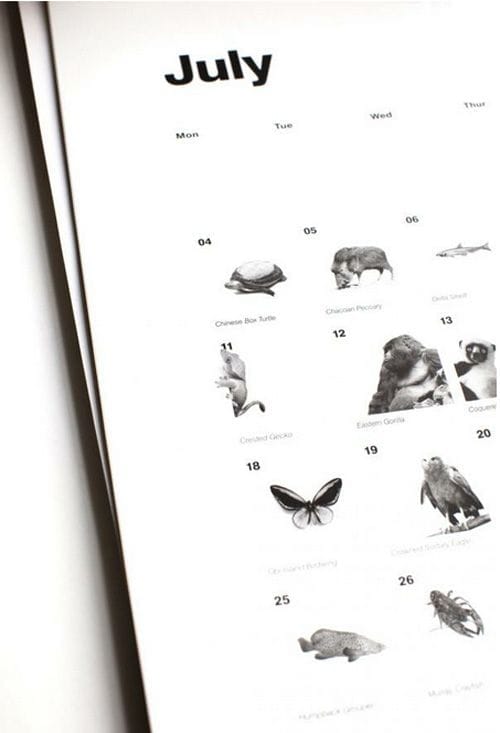 calendario 2013 bbc almost extinct calendar