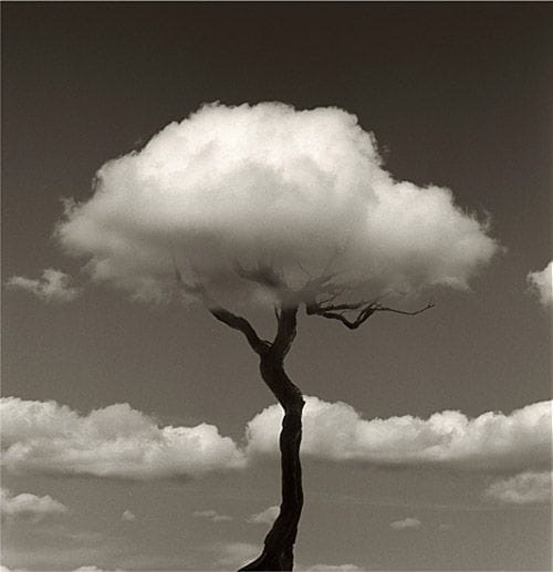 arbol nube chema madoz