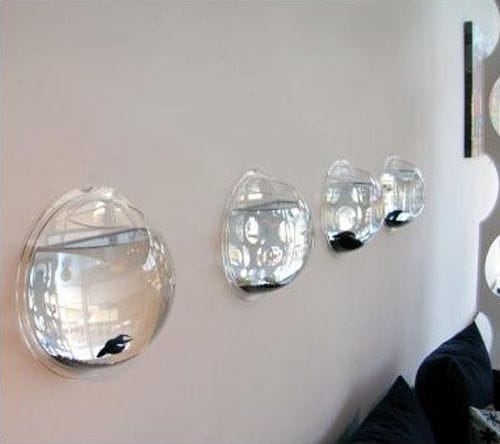 decoracion pared peceras alineadas