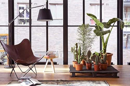 flores plantas habitacion minimalista