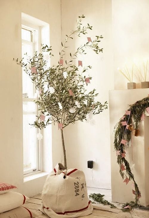 planta navidad vintage