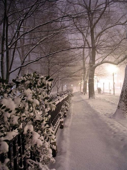 boston nevada ciudad boston nieve