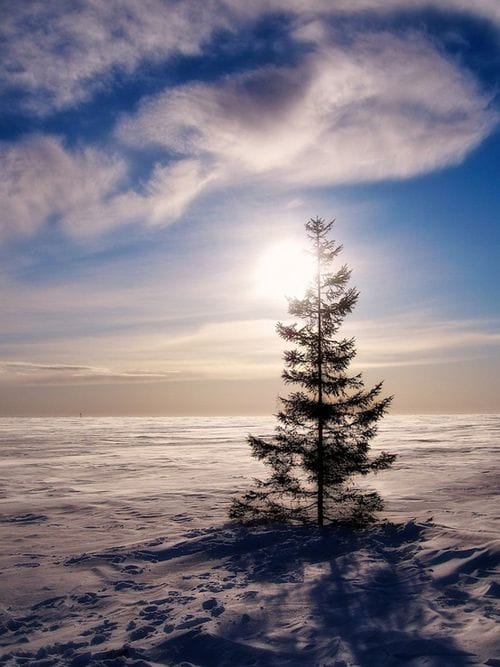 paisaje lapland finlandia