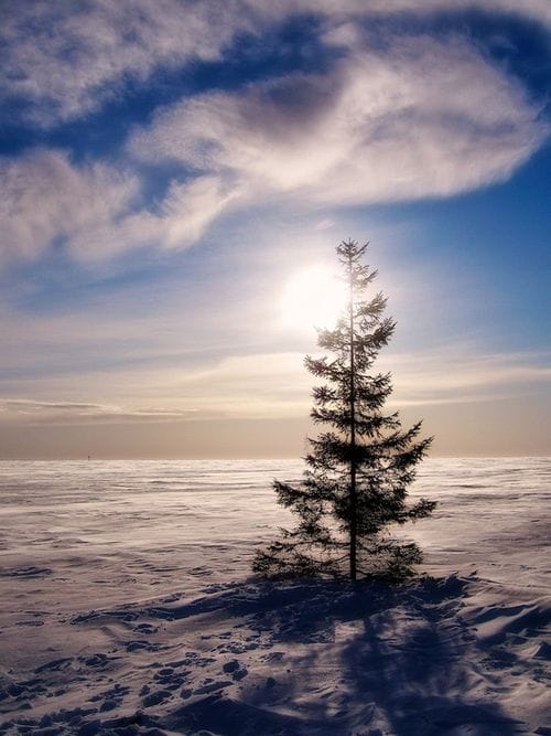 lapland finlandia paisaje lapland finlandia