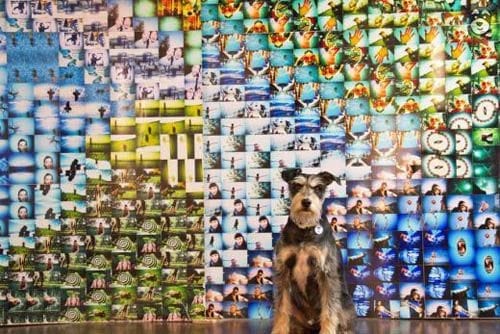 mural fotografias lomograficas srperr.com