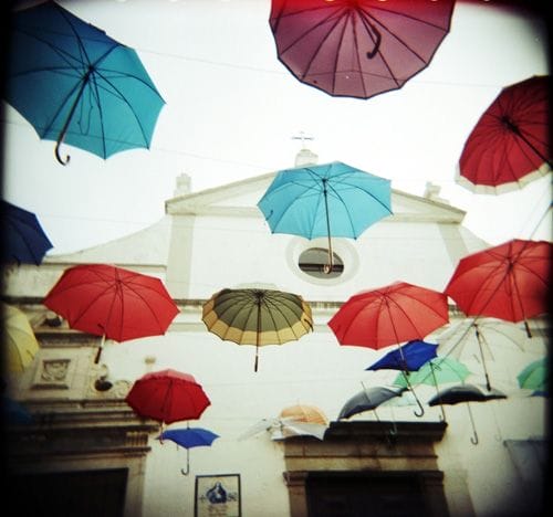 imagen camara holga neja