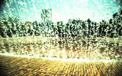 imagen camara sardina cc-in-paris