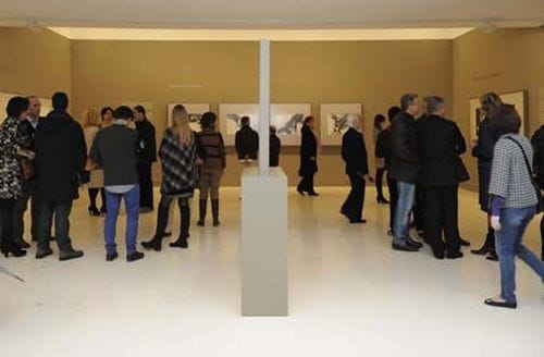 propuestas educativas museo esteban vicente