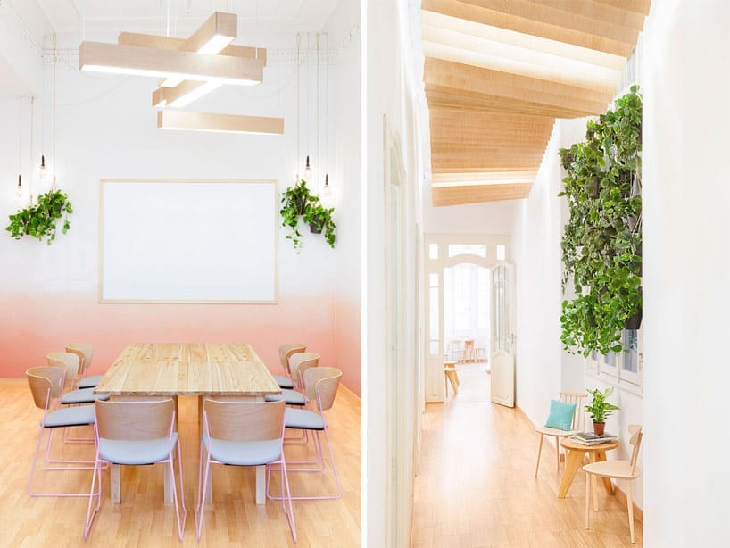 Pasillo y sala rosa academia idiomas