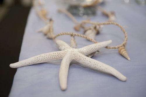 estrella de mar decorativa