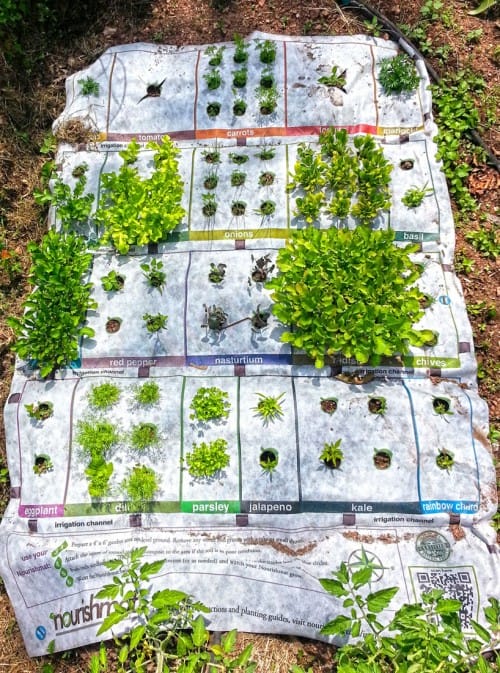 huertos urbanos nourishmat