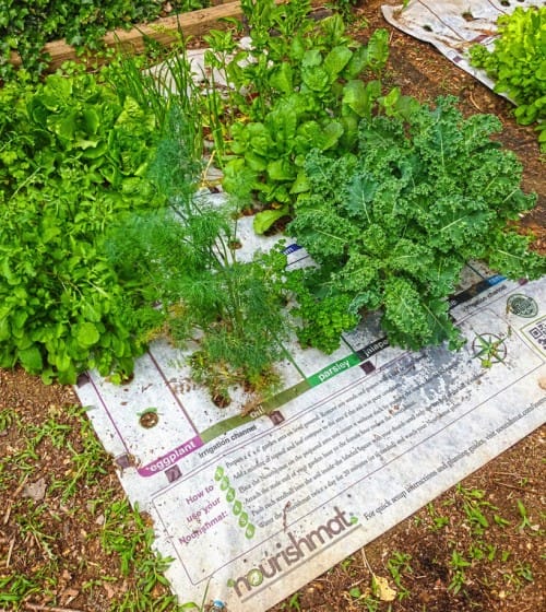 huertos urbanos nourishmat