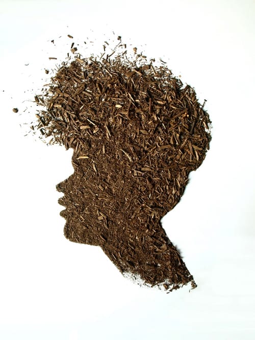 CREACIÓN DE LA ARTISTA SARAH ROSADO