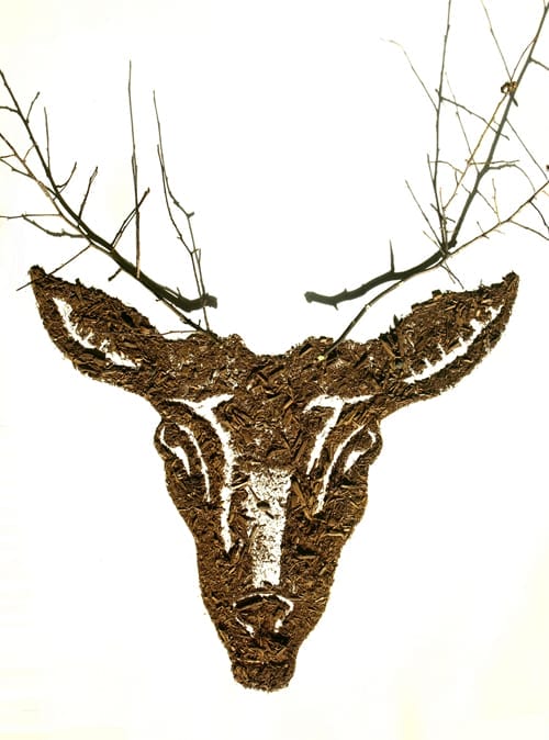 FOTOGRAFÍA SARAH ROSADO