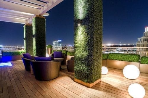 rooftop noche columna vegetal