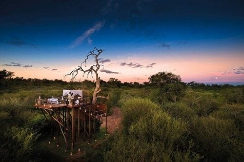 Lions Sands Game Reserve 02