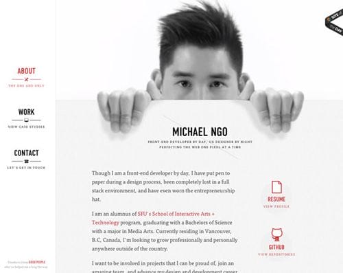 Portfolio Michael Ngo Wed designer