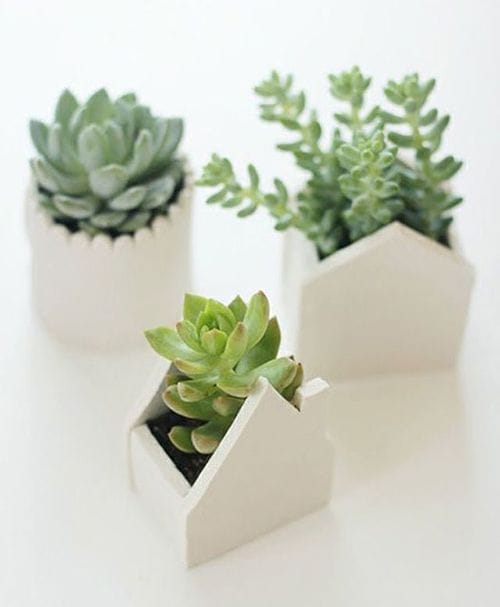 Macetas DIY 2