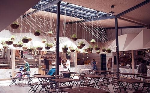 Huerto interior