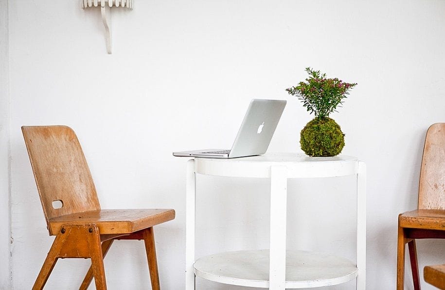 Los Kokedamas, un DIY decorativo con plantas