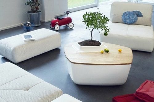 Mesa con una planta integrada