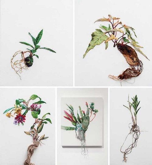 plants-1