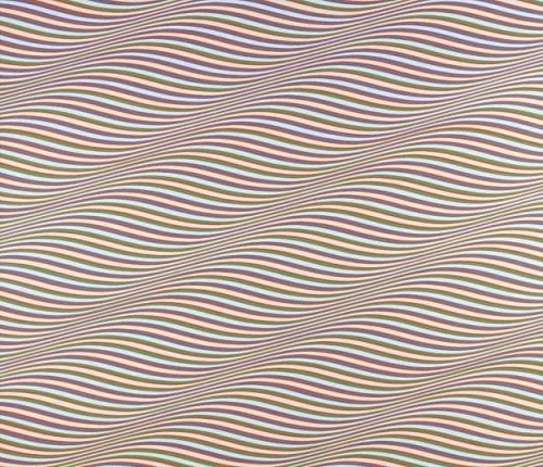 Bridget Riley 3