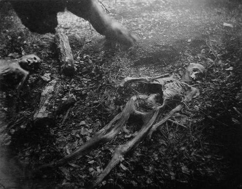 esqueleto en el bosque