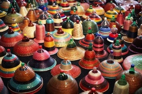 pet lamp colection (6)