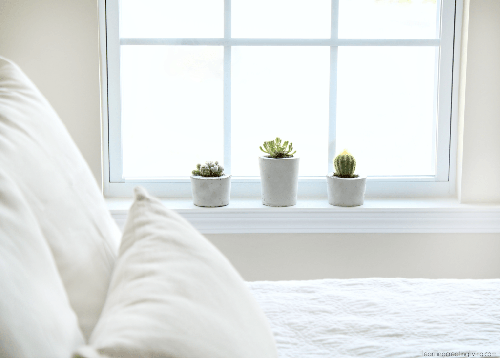 plantas en dormitorio blanco
