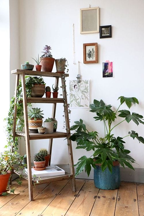 escalera amcetas ideas decoracion plantas verdes tendencias interiores