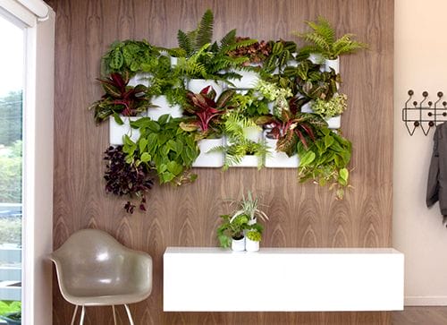 plantas pared ideas decoracion eco tendencias interiorismo