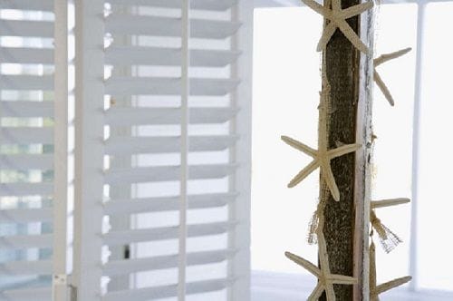 Diseño tropical (2)