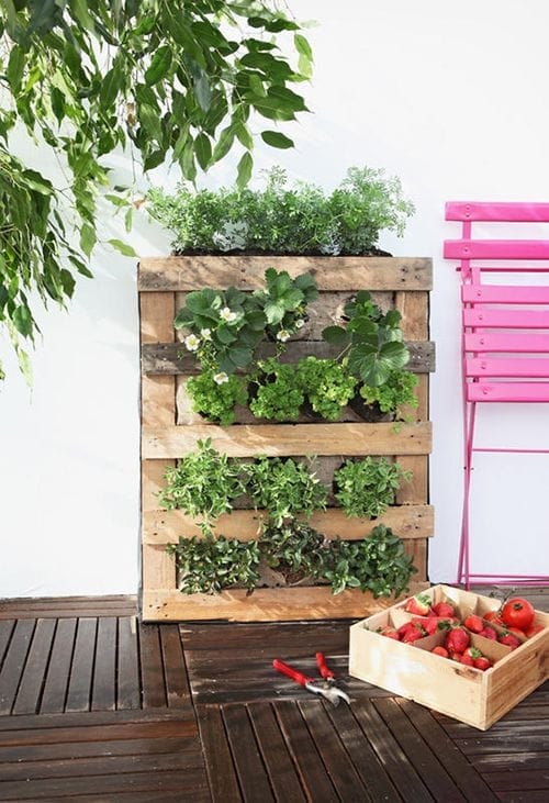 jardin vertical huertos urbanos palets