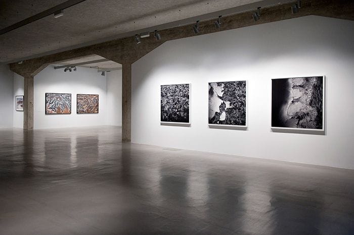 exposición Ivorypress