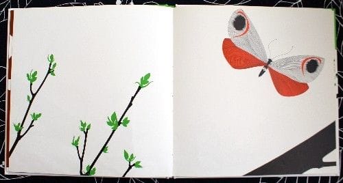enzo mari manzana mariposa libro ilustracion