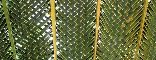 trenzado tradicional con hoja de palma