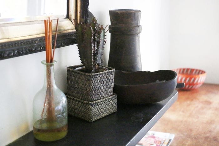 detalles chimenea cactus