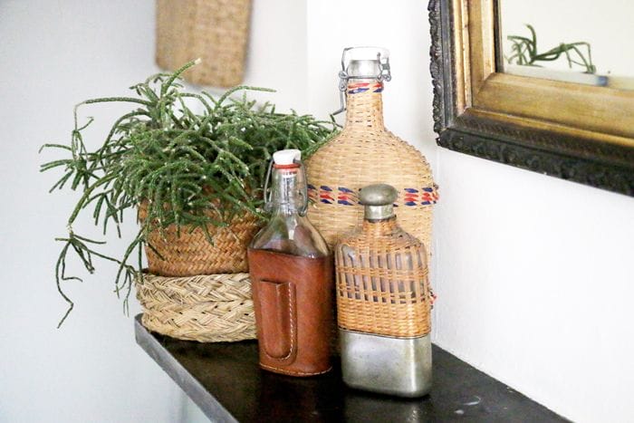 detalle plantas y botellas