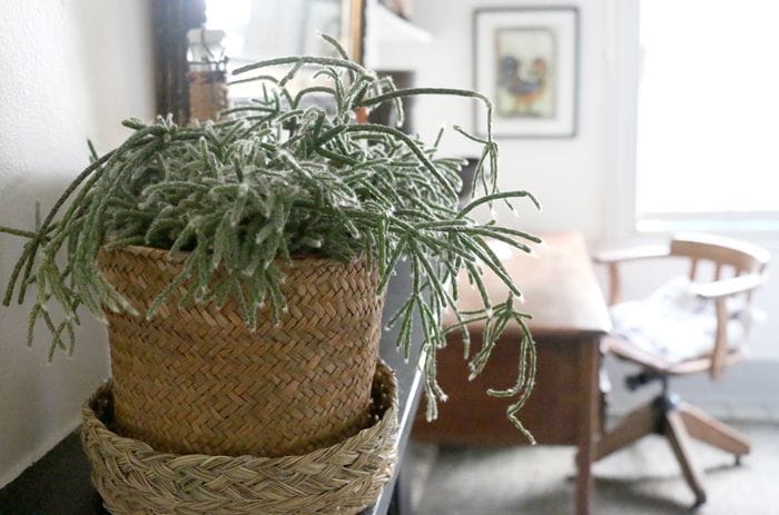 planta detalle b&b brixton town