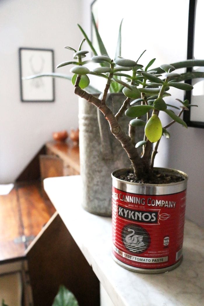 detalle bote conservas rojo b&b  brixton town