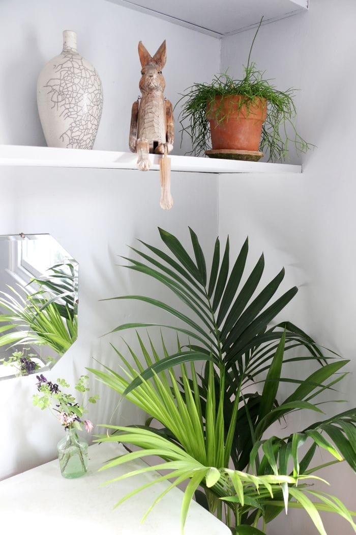 detalle planta palmera y adornos madera