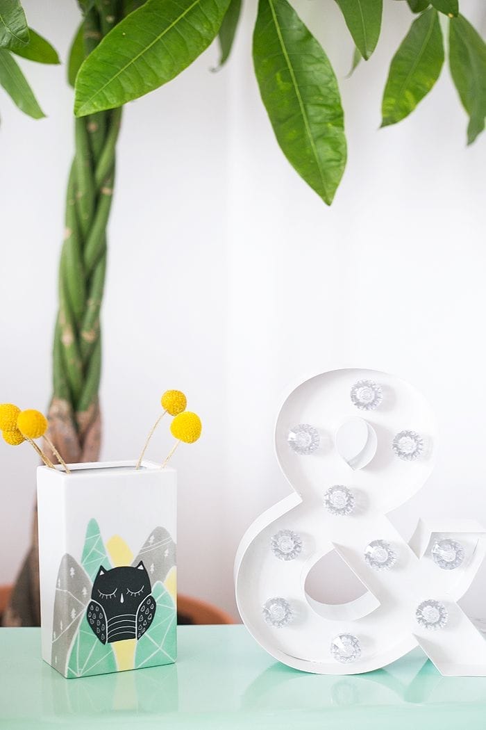 ampersans con luz y palmera