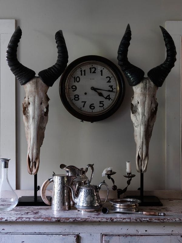 Mueble vintage con calaveras