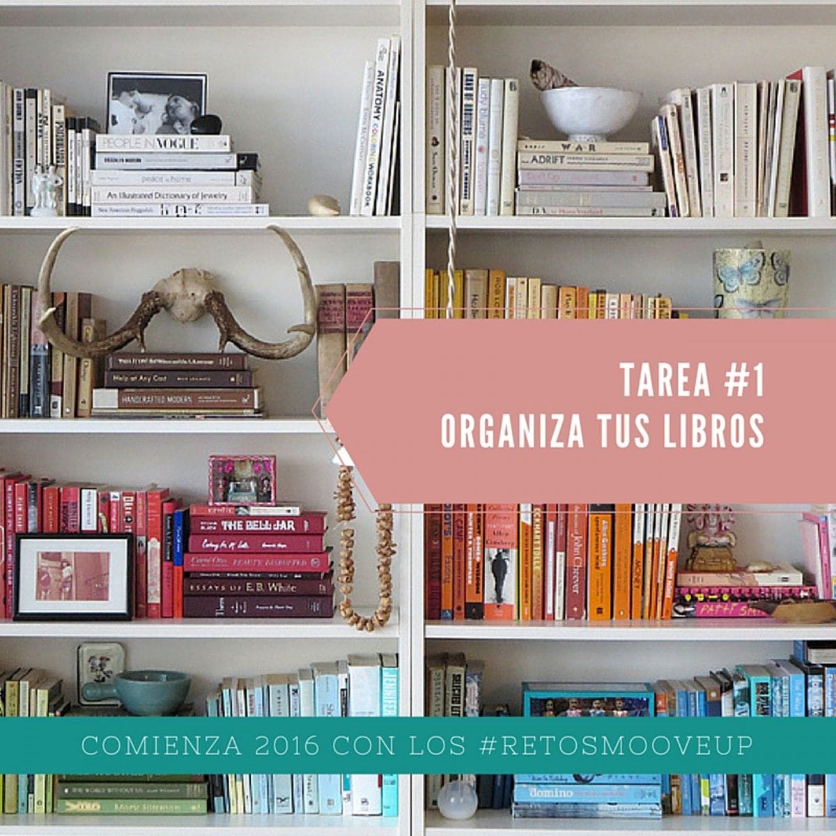 #Tarea 1 Moove Up para mejorar nuestro entorno a lo largo de 2016