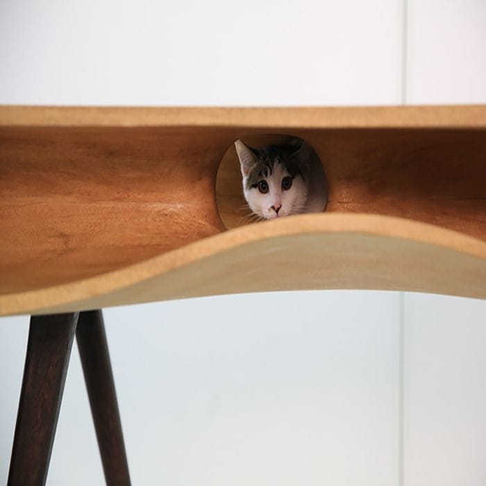 CATable-by-Hao-Ruan_dezeen_ss4