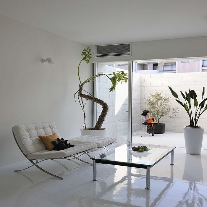 sunlight calm house